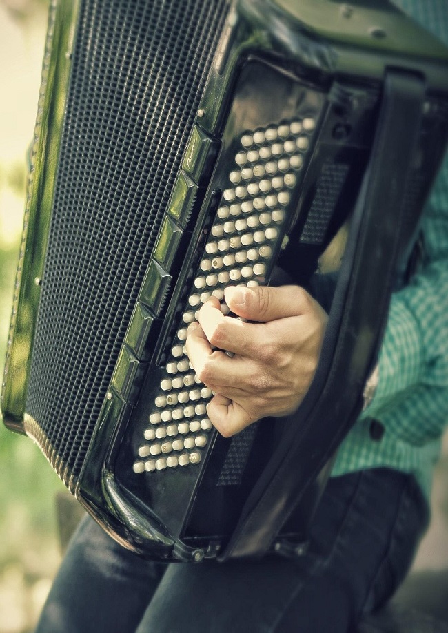 photo d'un accordéon
