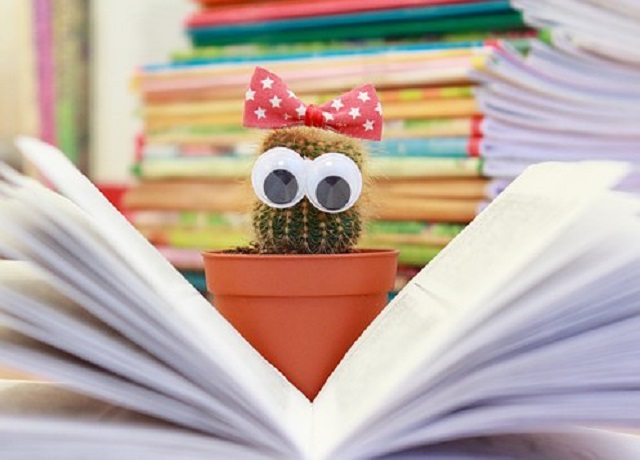 cactus avec des yeux en train de lire