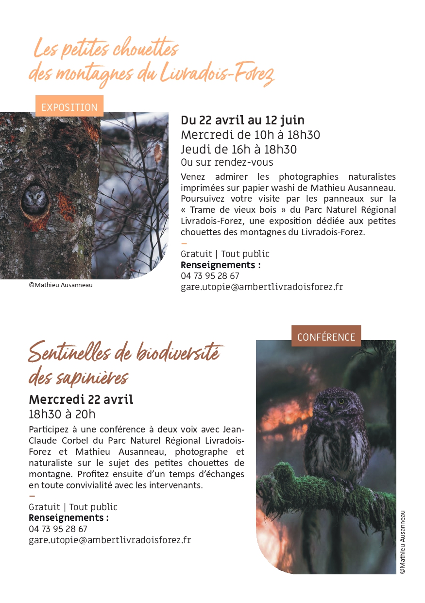 flyer chouettes en LF 1