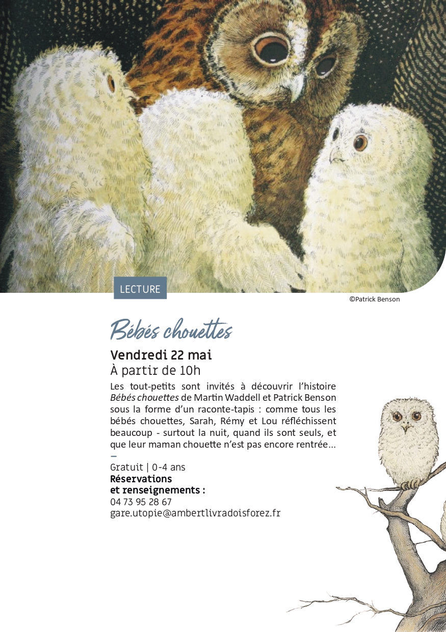 flyer chouettes en LF 2