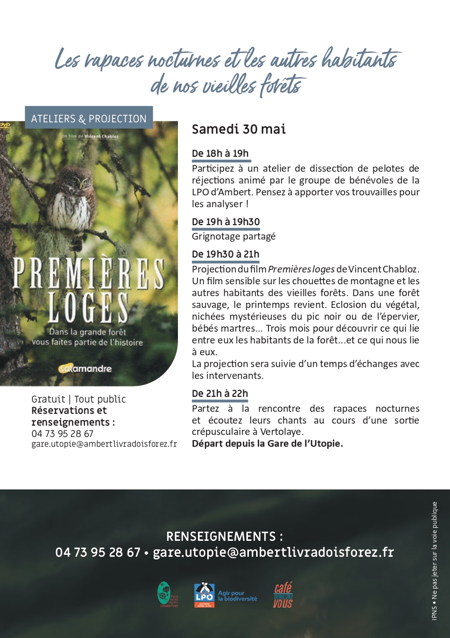 flyer chouettes en LF 3