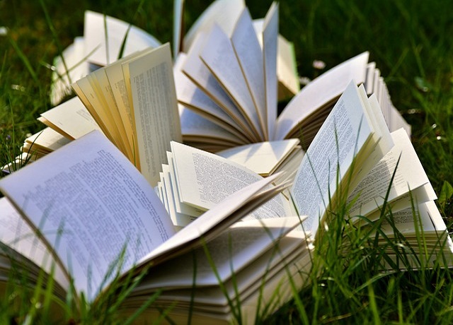 plusieurs livres ouverts dans la pelouse