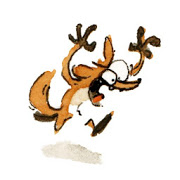 le renard de l'histoire