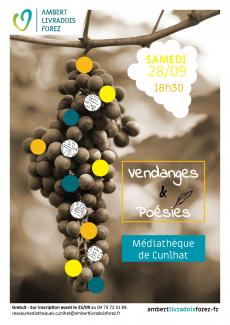 Une grape de raisin