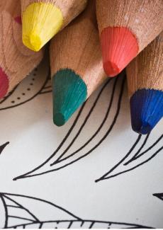 des crayons de couleur