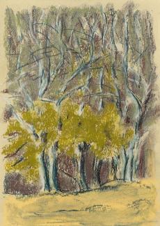 des arbres dessinés au pastel