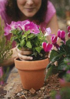photo d'une femme rempotant une plante