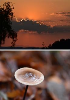 2 photos de l'artiste