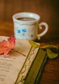 photo d'un livre ouvert et d'une tasse de thé
