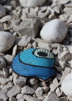 un coquillage peint en bleu