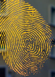image d'une empreinte digitale