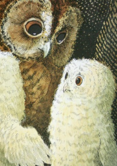 illustration issue de Bébés Chouettes de Martin Waddell et Patrick Benson